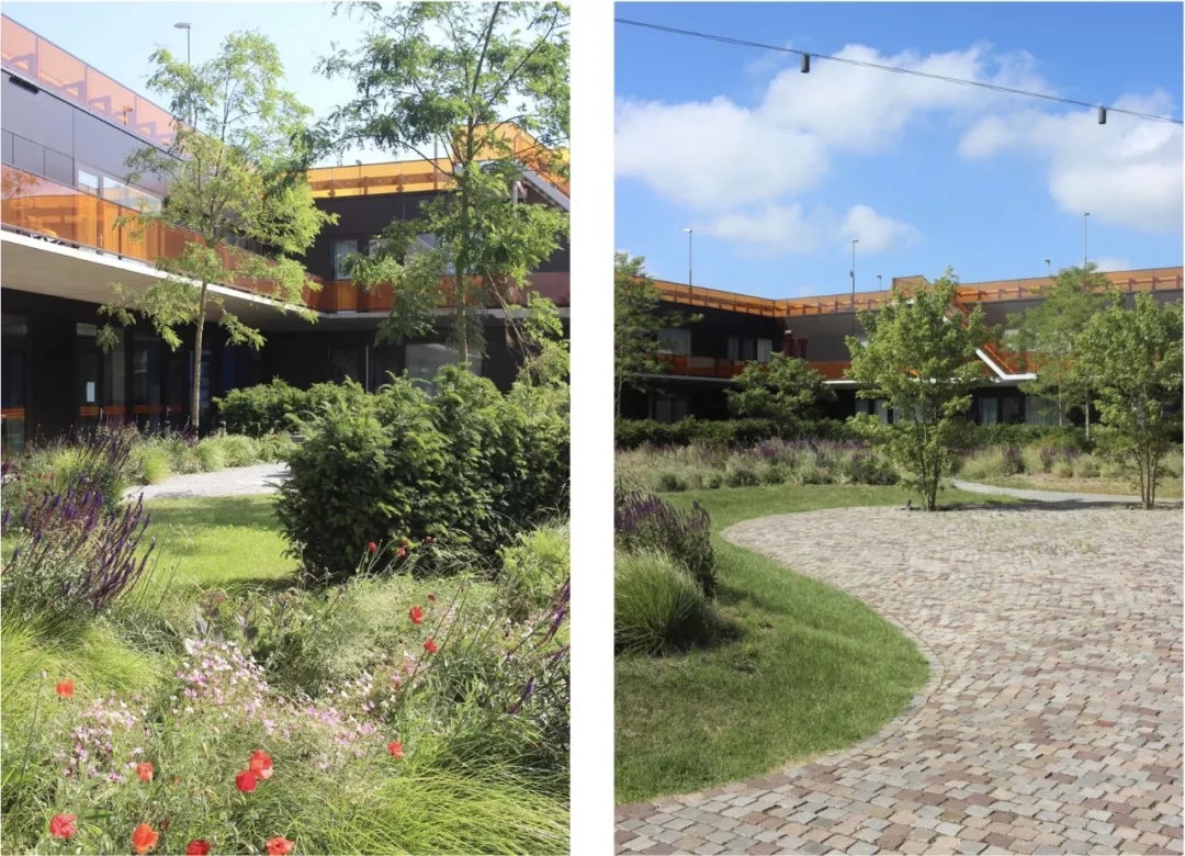 640.webp (23).jpg 640.webp (23).jpg