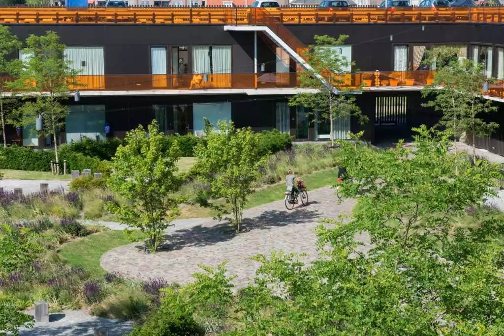 640.webp (19).jpg 640.webp (19).jpg