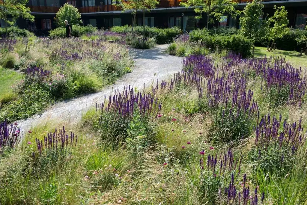 640.webp (32).jpg 640.webp (32).jpg