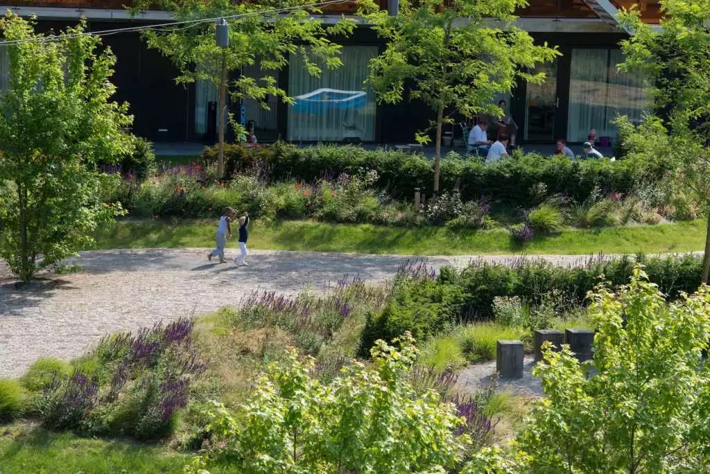 640.webp (20).jpg 640.webp (20).jpg