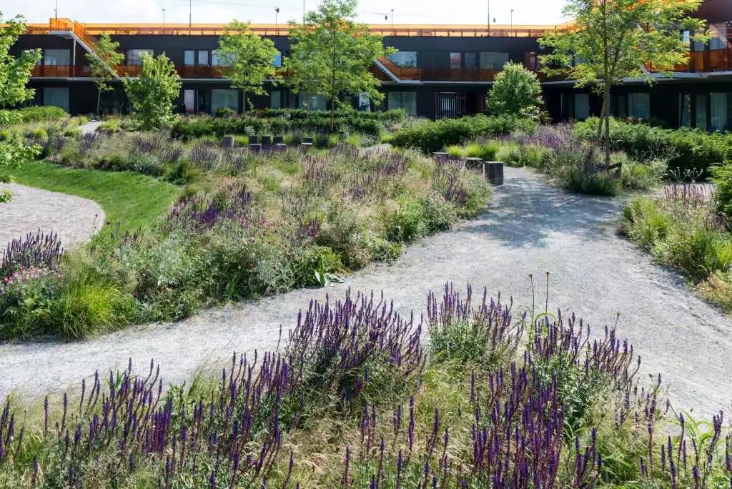 640.webp (15).jpg 640.webp (15).jpg