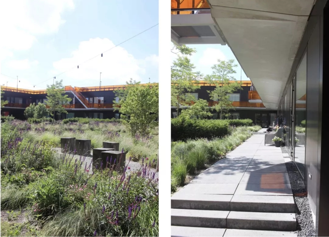 640.webp (25).jpg 640.webp (25).jpg