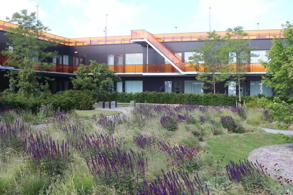 640.webp (30).jpg 640.webp (30).jpg