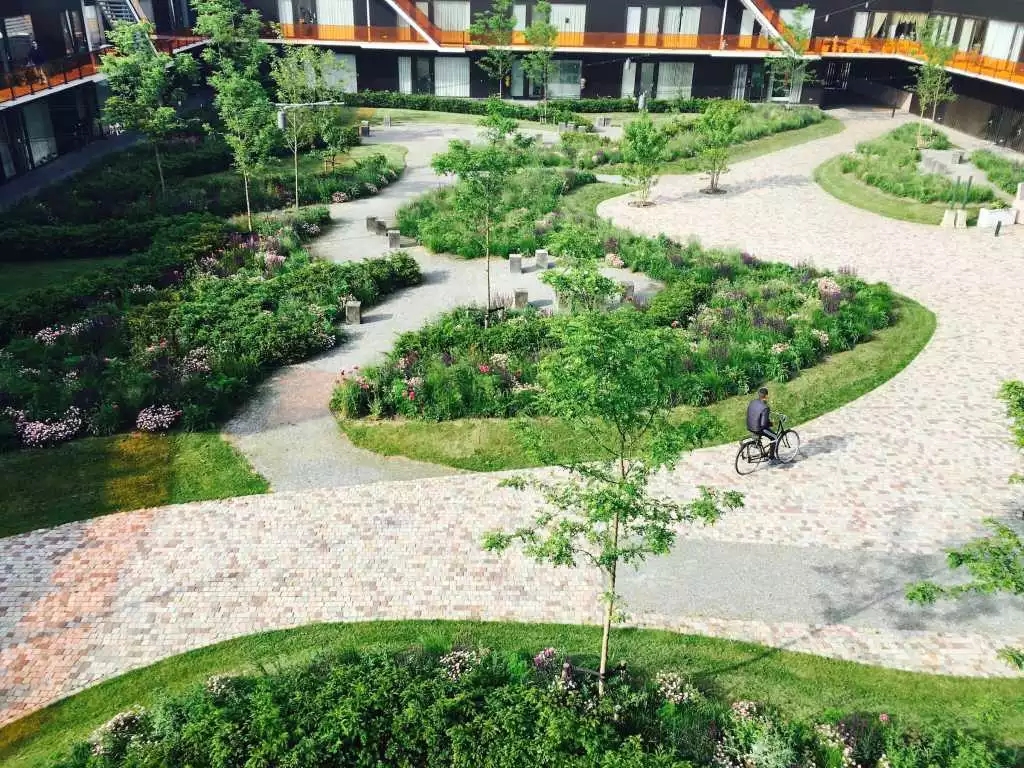 640.webp (2).jpg 640.webp (2).jpg