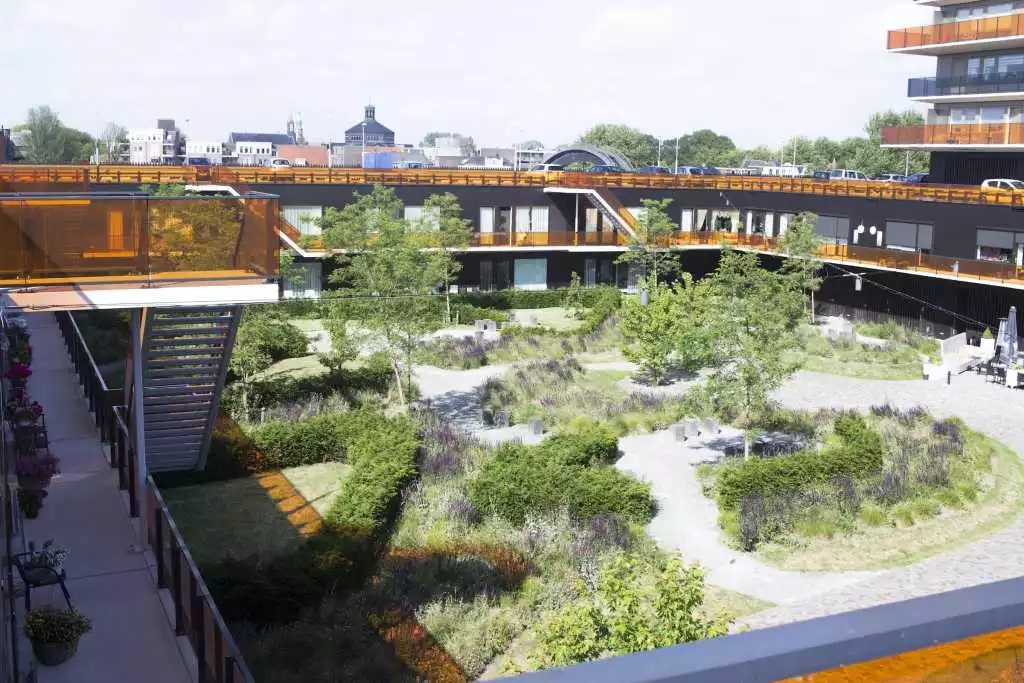 640.webp.jpg 640.webp.jpg