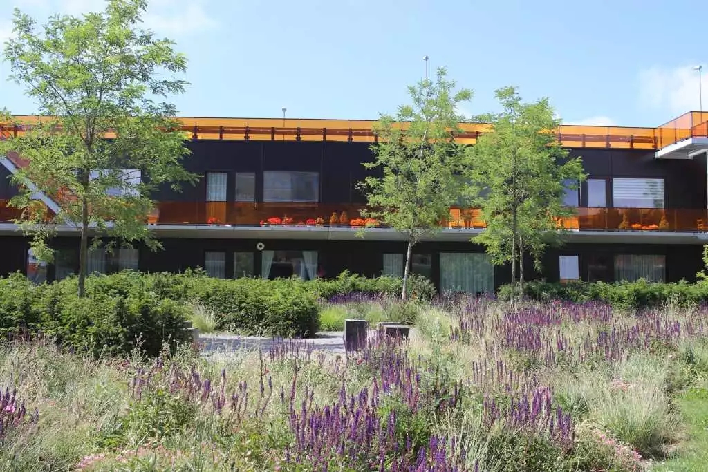 640.webp (31).jpg 640.webp (31).jpg