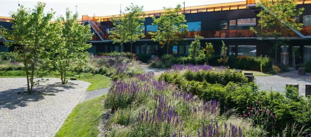 640.webp (16).jpg 640.webp (16).jpg