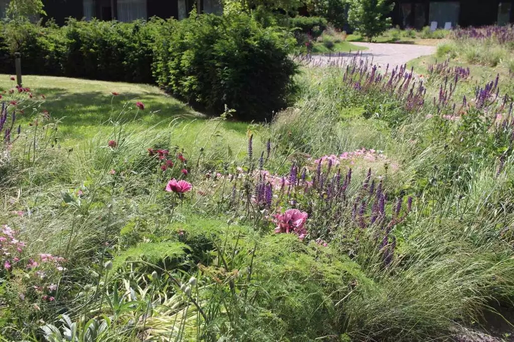 640.webp (34).jpg 640.webp (34).jpg