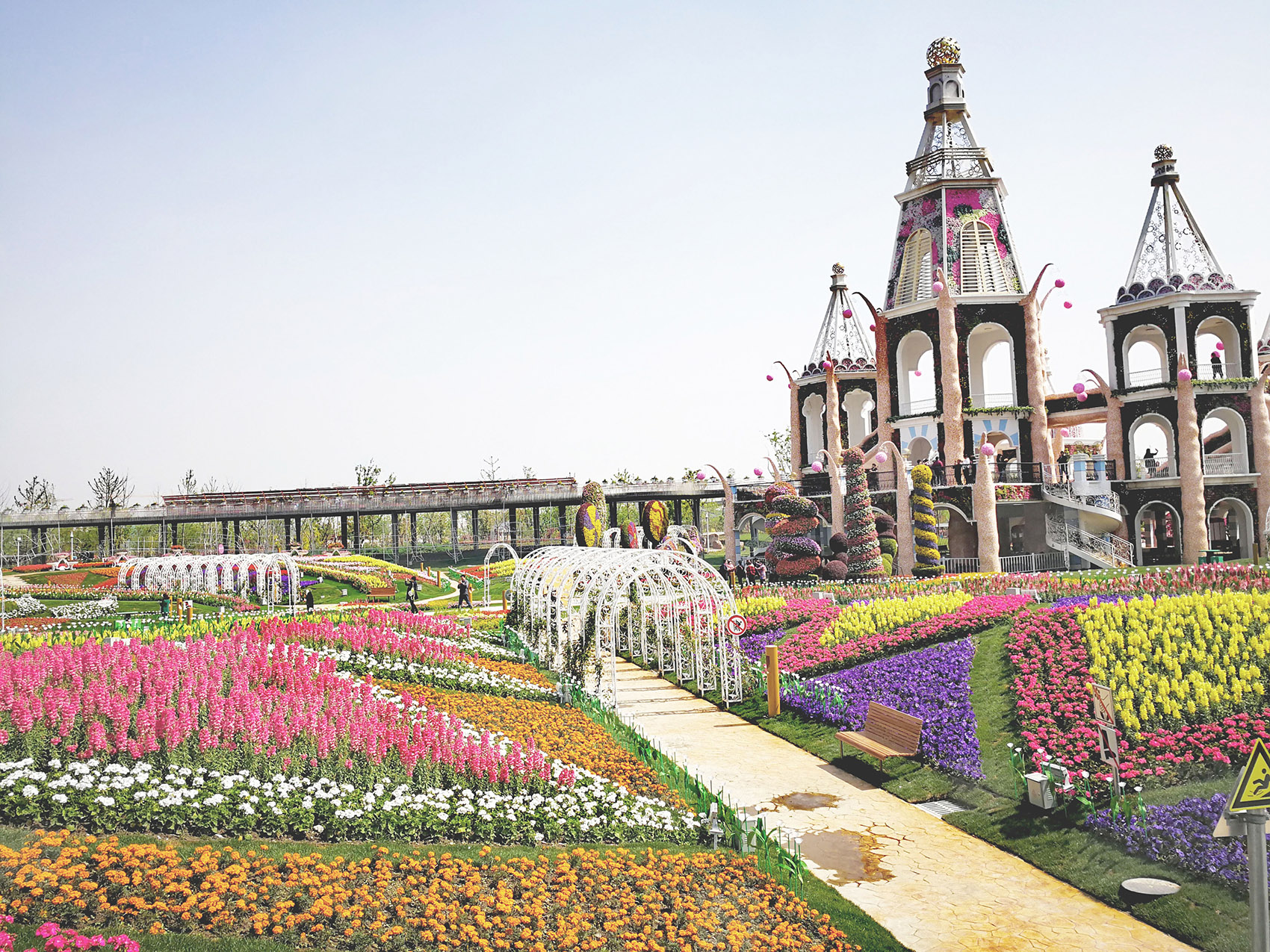 1555396675160244.jpg 3.jpg