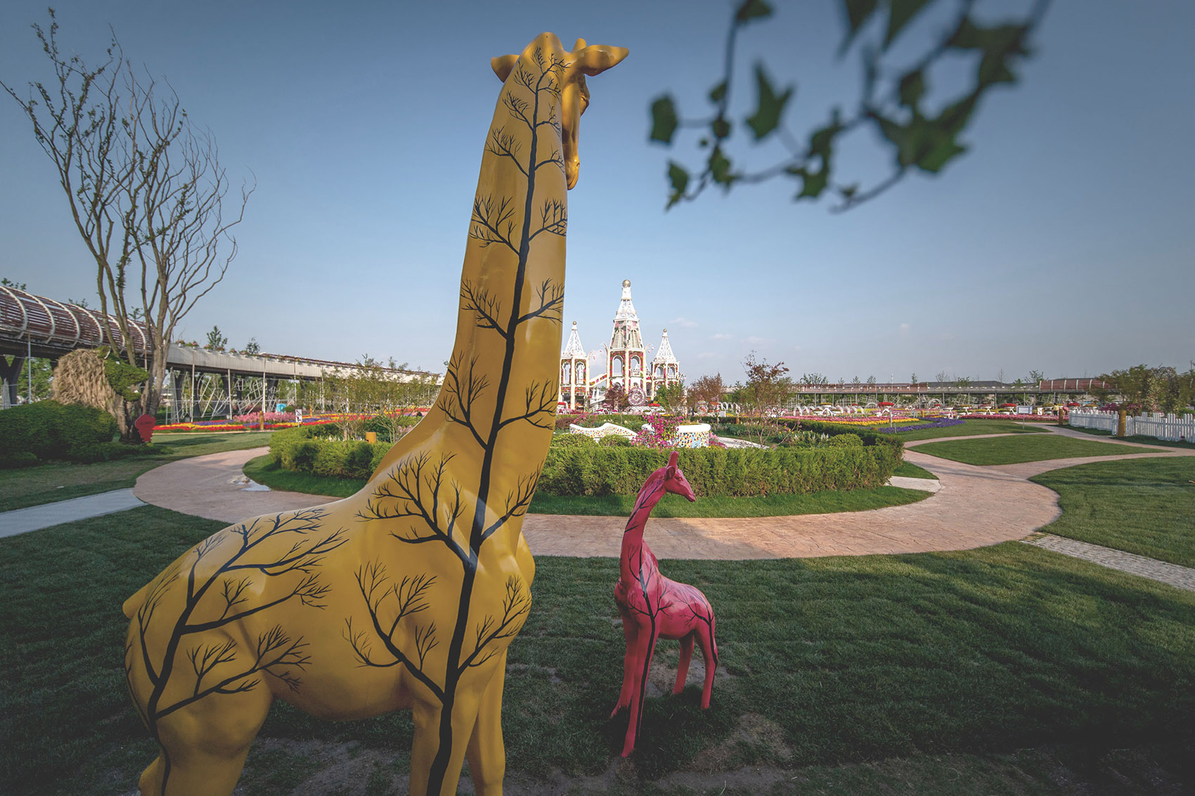 1555396807447773.jpg 11.jpg