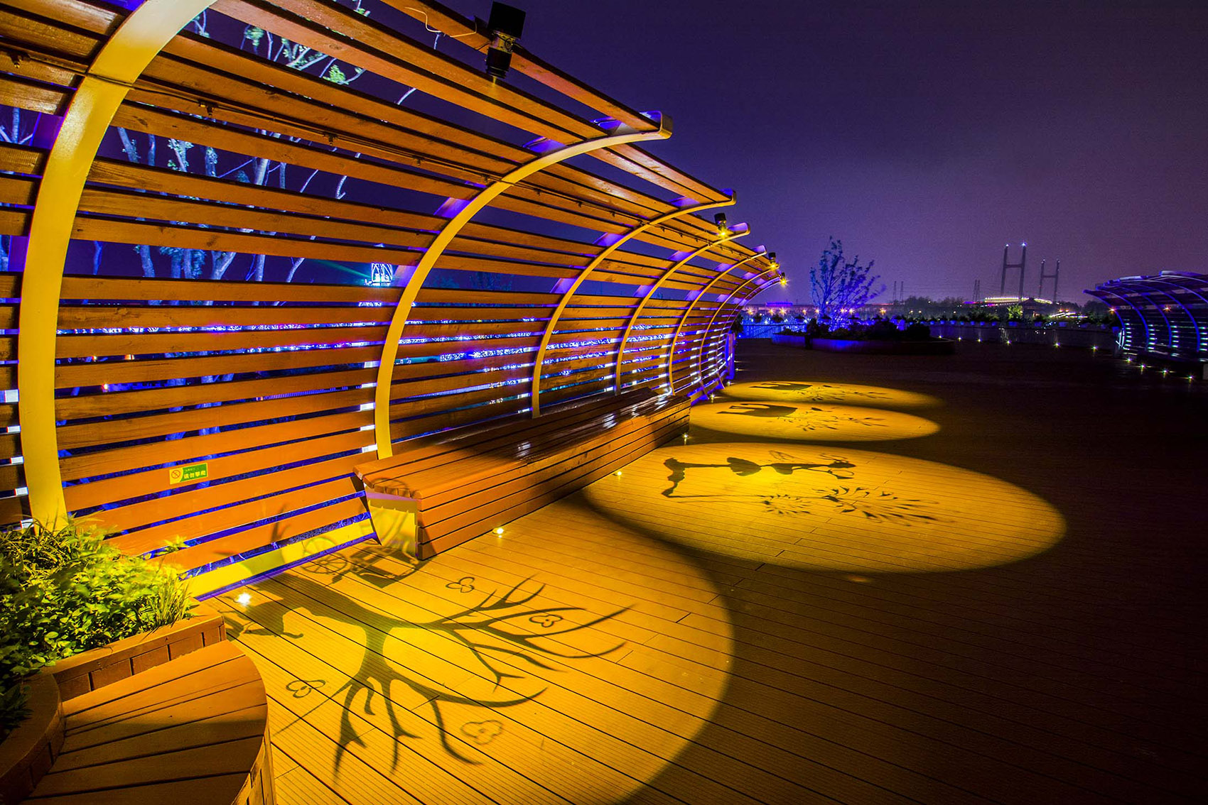 1555396819662747.jpg 13.jpg