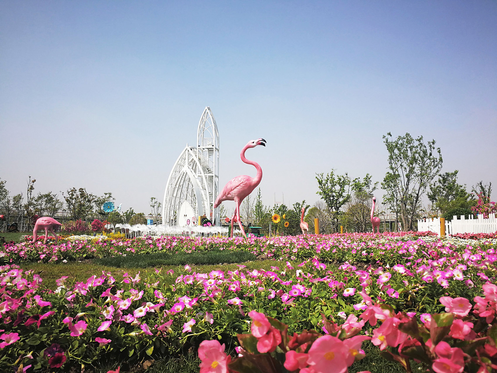 1555396712718285.jpg 4.jpg