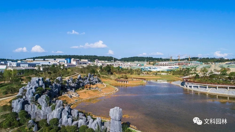 640.webp (19).jpg 640.webp (19).jpg