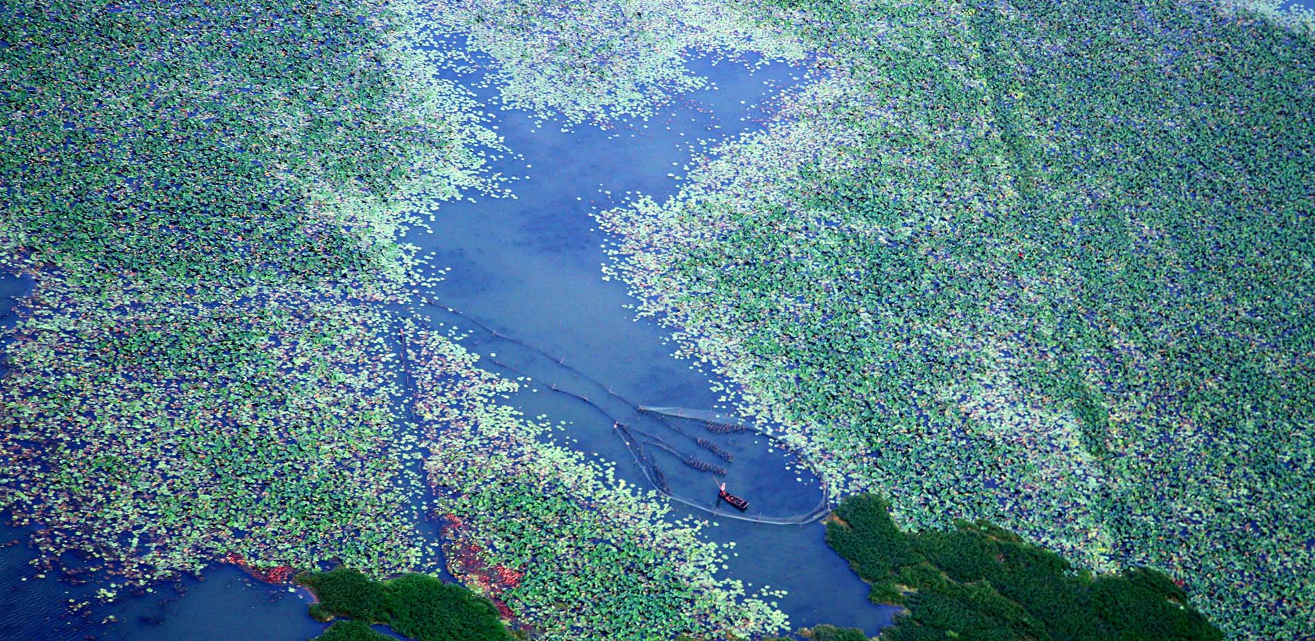 1563780210699593.jpg 4.jpg