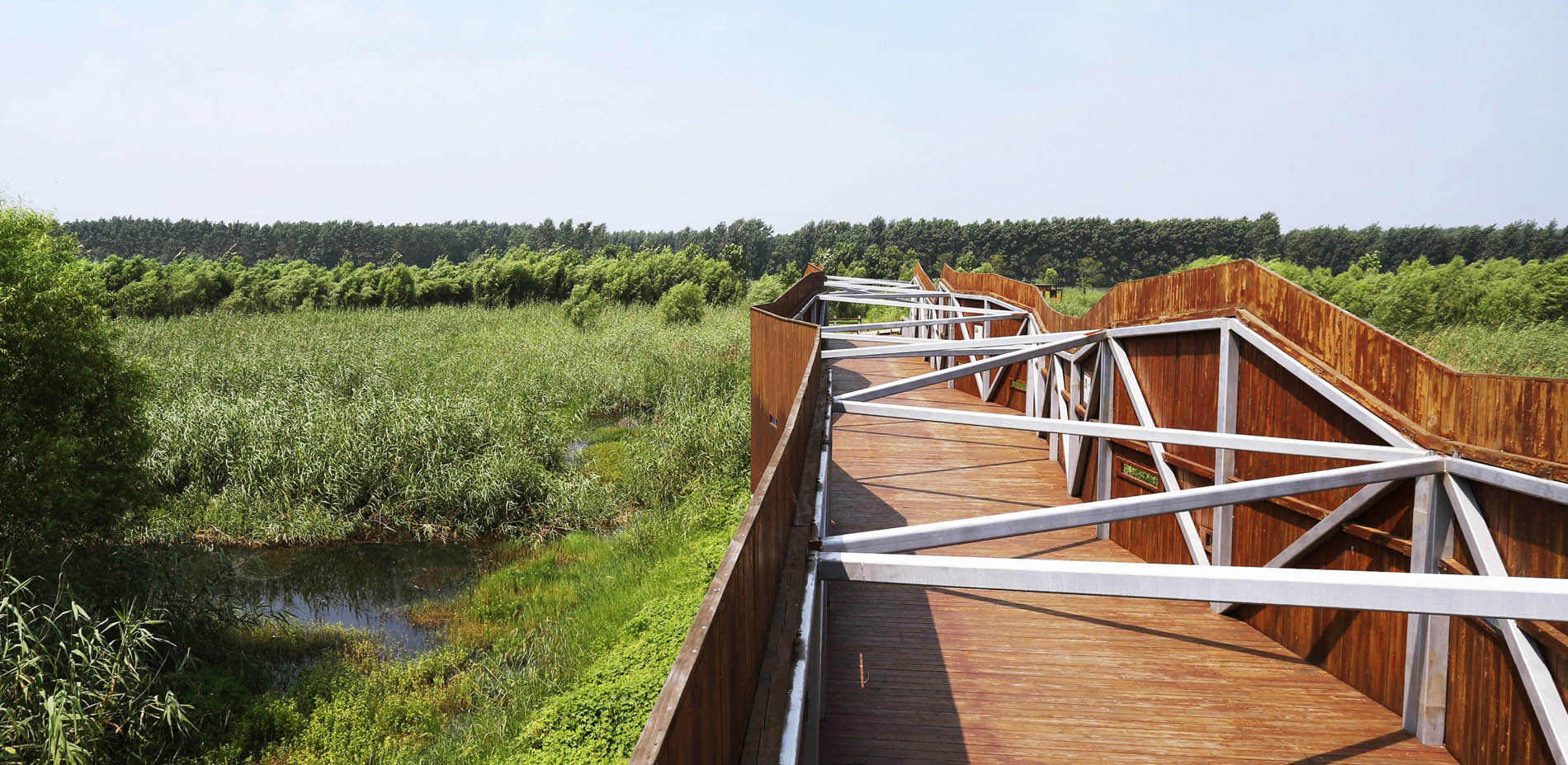 1563780240614083.jpg 8.jpg