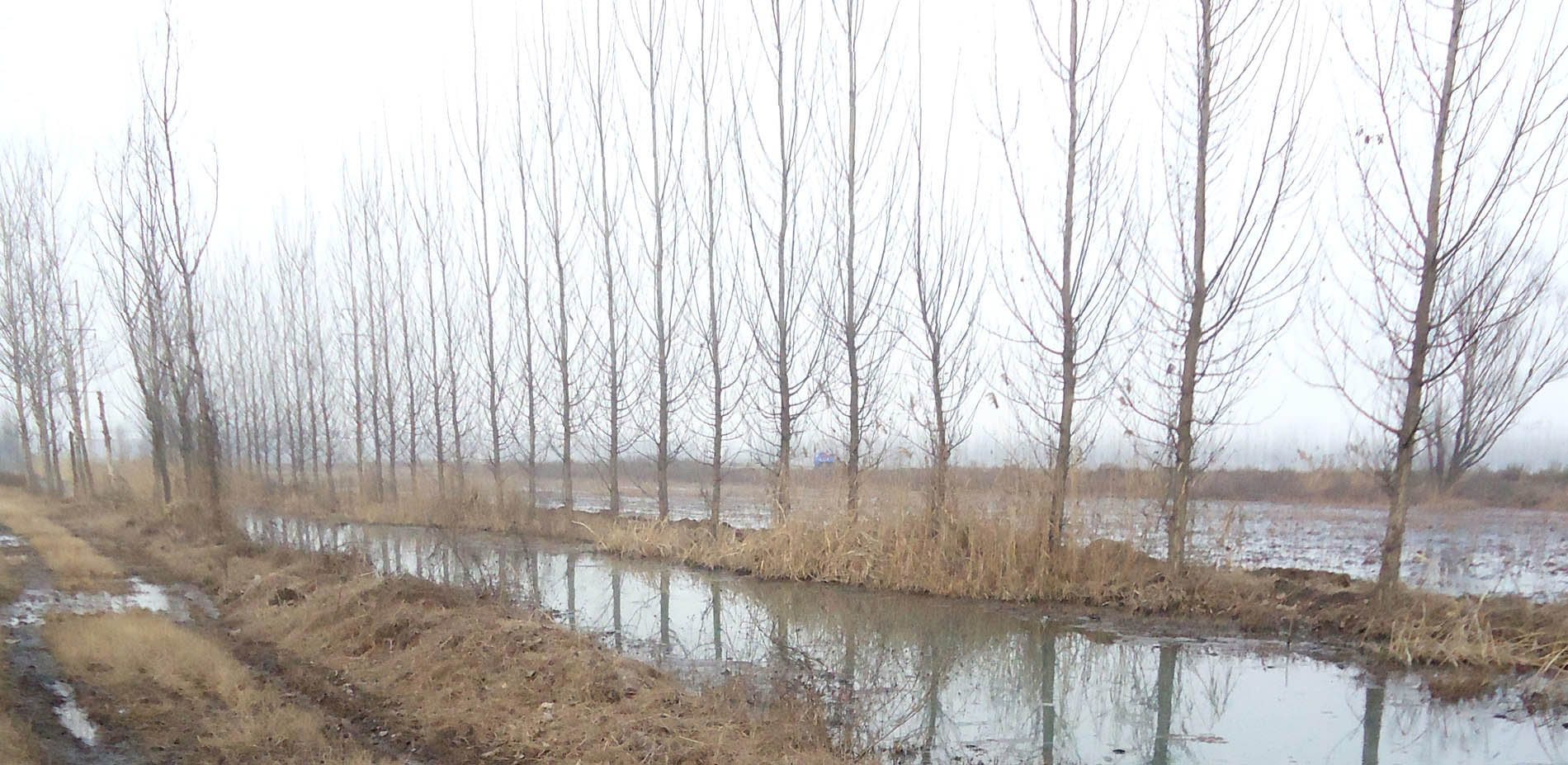 1563780189862678.jpg 2.jpg