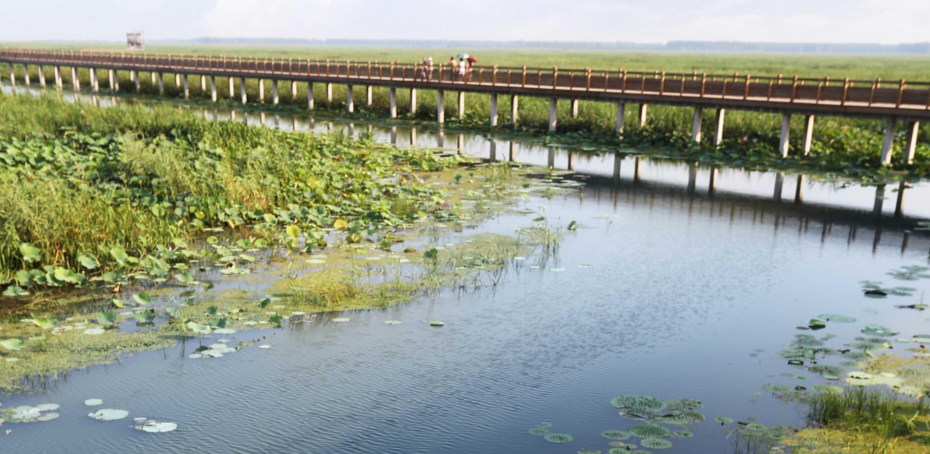 1563780215747291.jpg 5.jpg