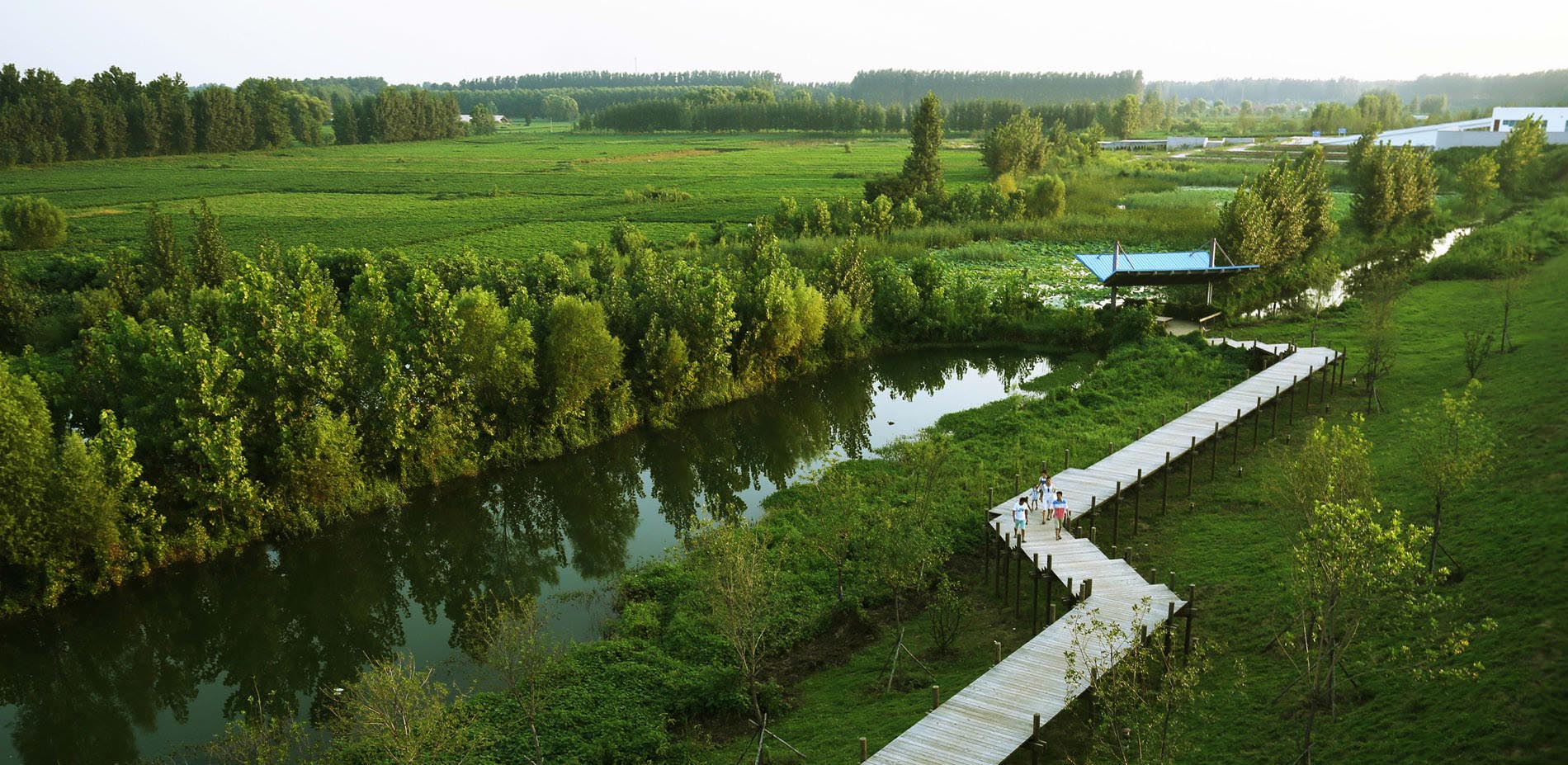 1563780224742386.jpg 6.jpg