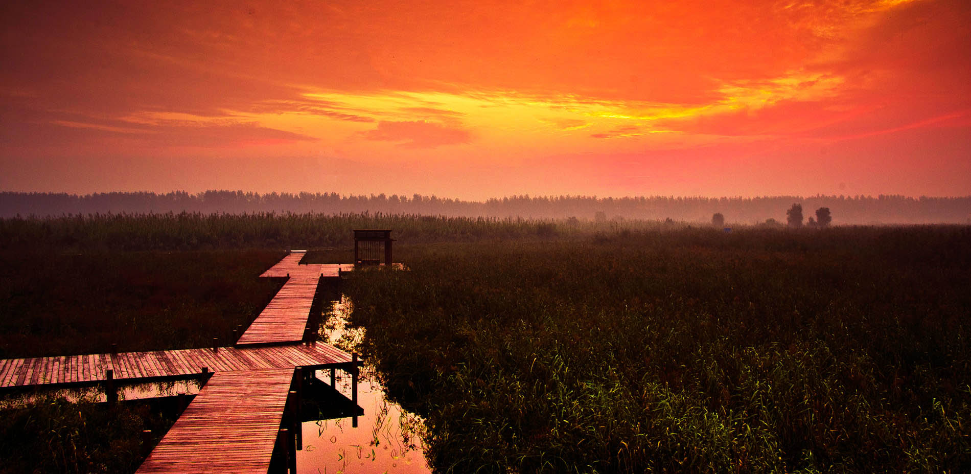 1563780252623838.jpg 10.jpg